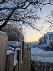 Bénédicte Grellier