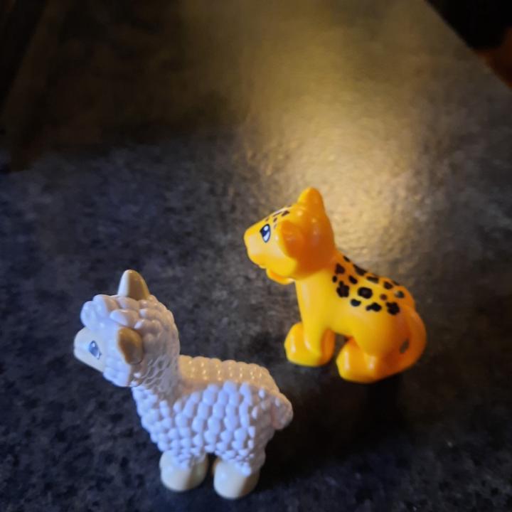 Christiane Pratscher