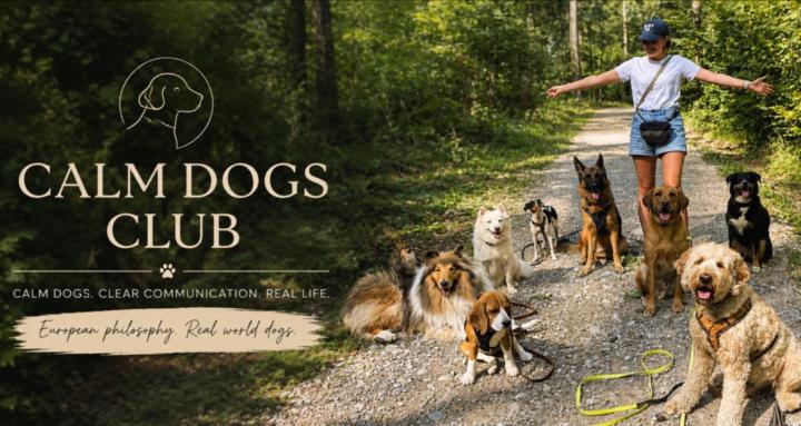 Calm Dogs Club