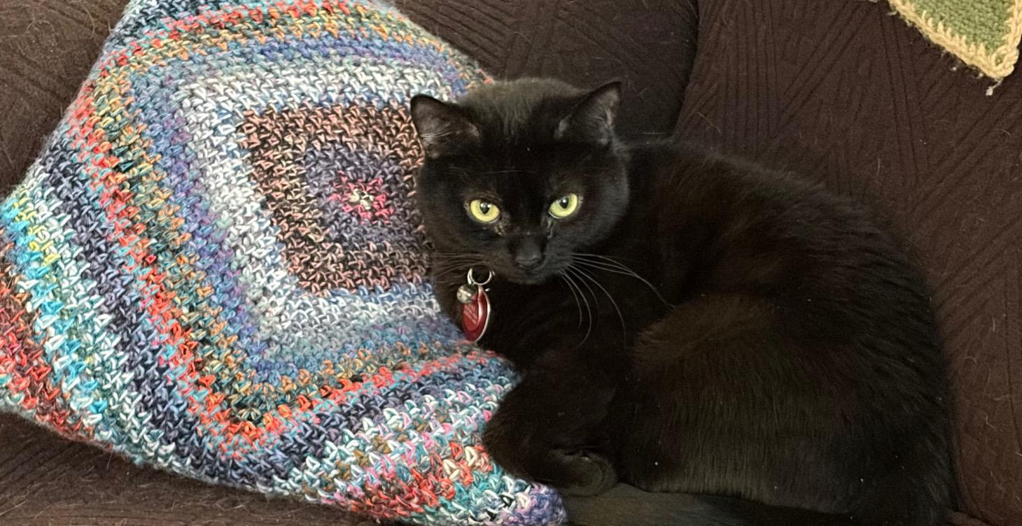1-on-1 Stitch Doctor appointment