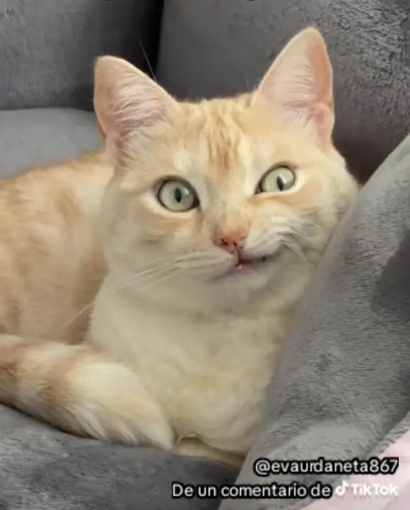 Ivan Valicenti Orosco