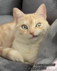 Ivan Valicenti Orosco