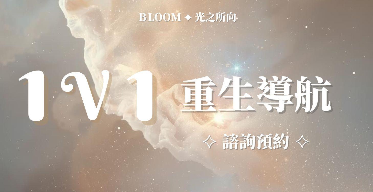 一對一 客製化諮詢