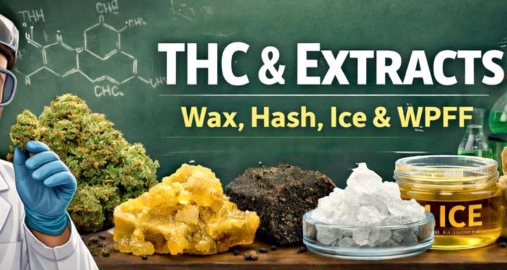 Eveything about weed/extracts