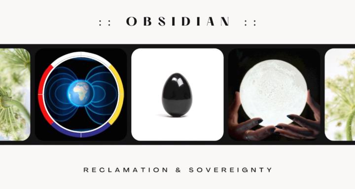 Obsidian Womb Wellness