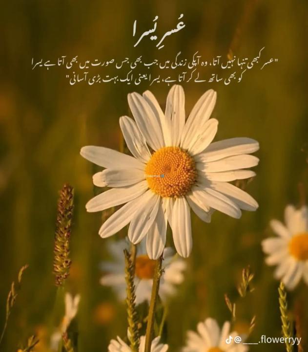 Marriam Fatima