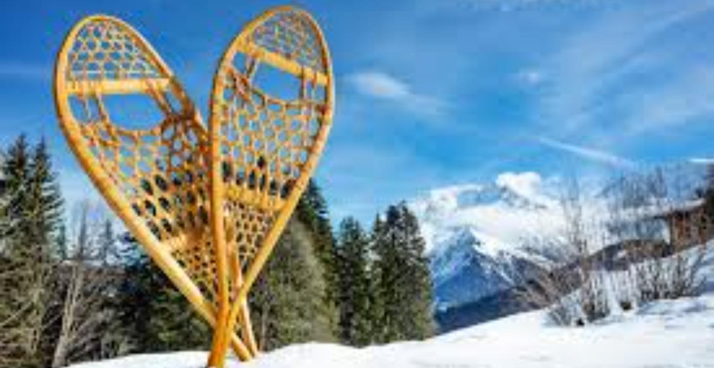 Winter Safety Basics