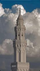 هنادي الناصر