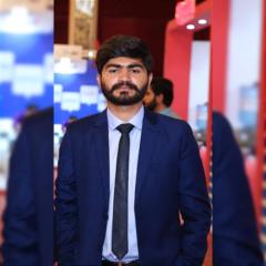 Syed Hussnain Mustafa Sherazi