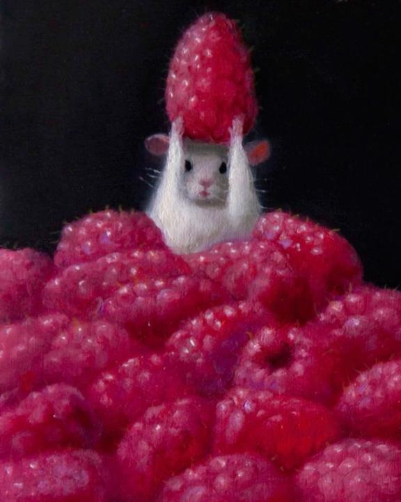 Hamish Jordan