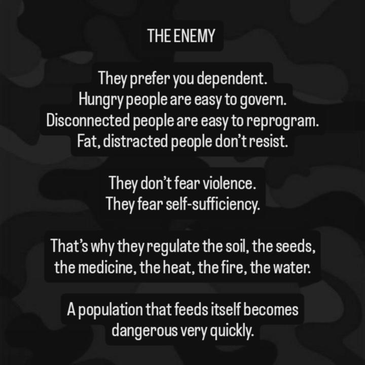 THE ENEMY