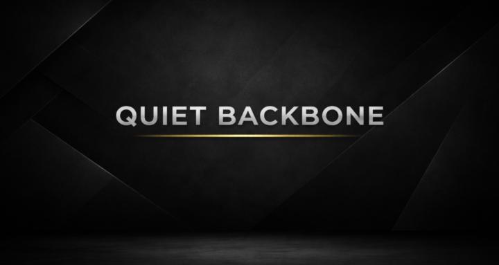 Quiet Backbone: Own Your Life