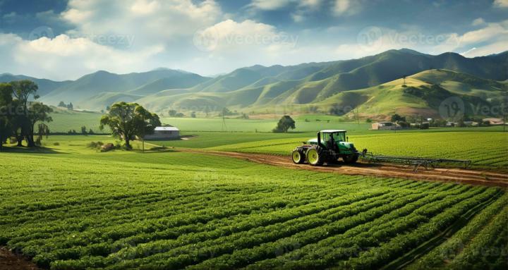 Red Rock Growers