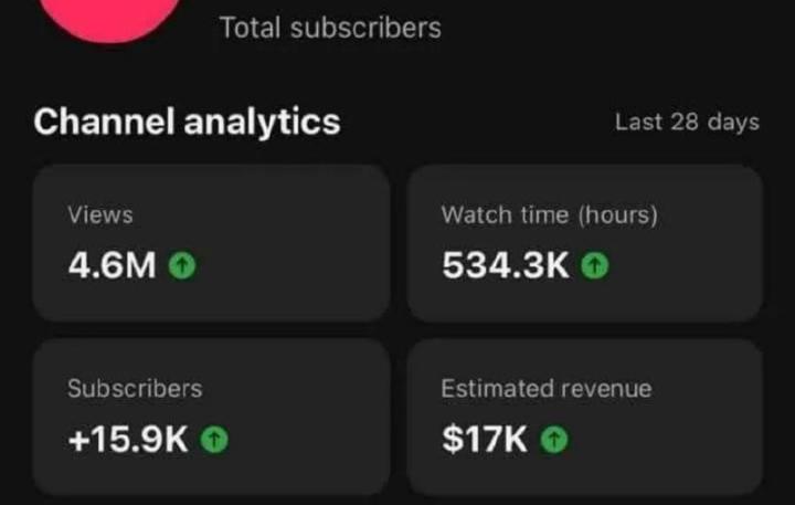4.6M views and $17K in just 28 days.