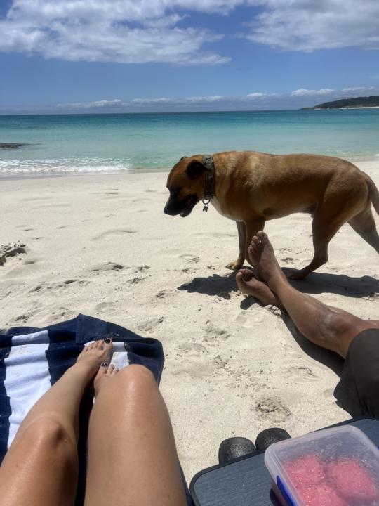 Welcome! Introduce Yourself…🌻💛