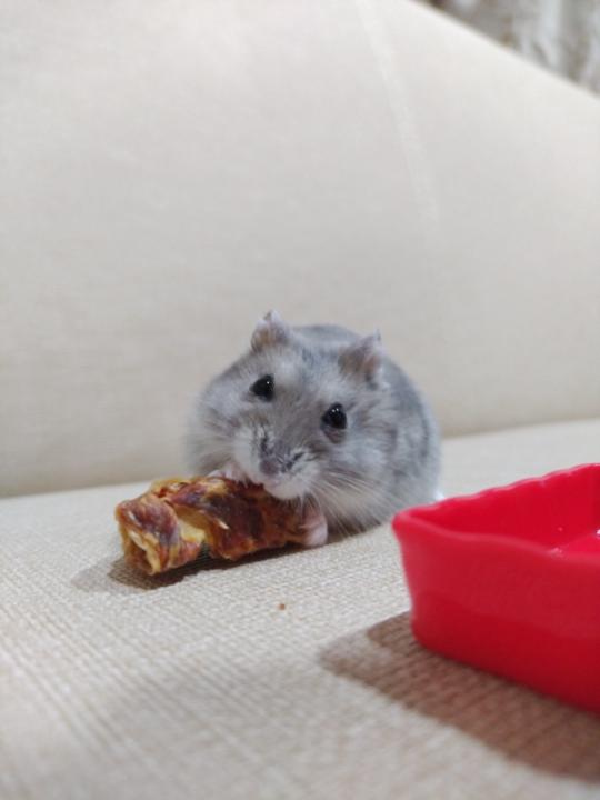 李 芸萱