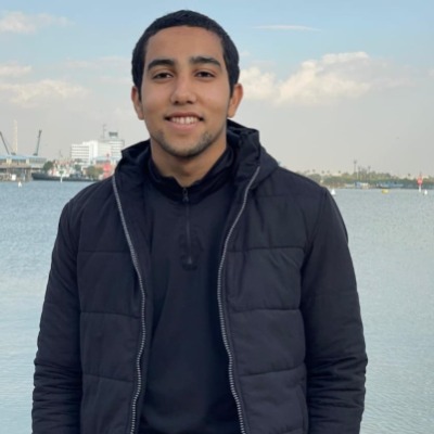 Amr Elngar