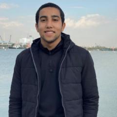 Amr Elngar