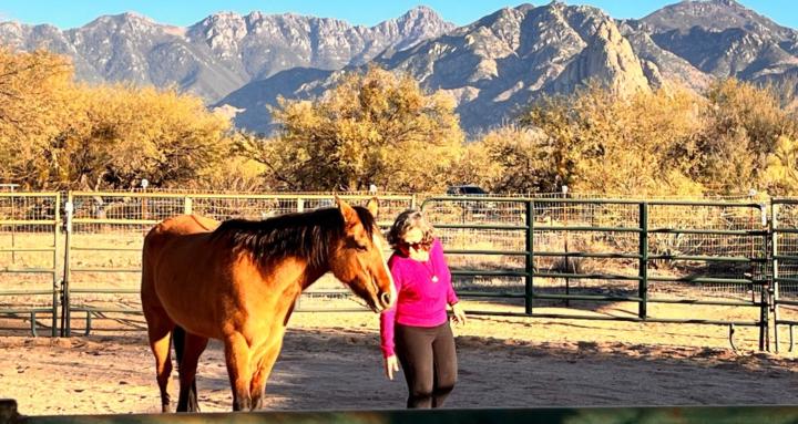 Roxy's Spring Forest Qigong