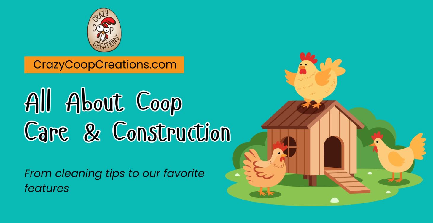 All About the Coop
