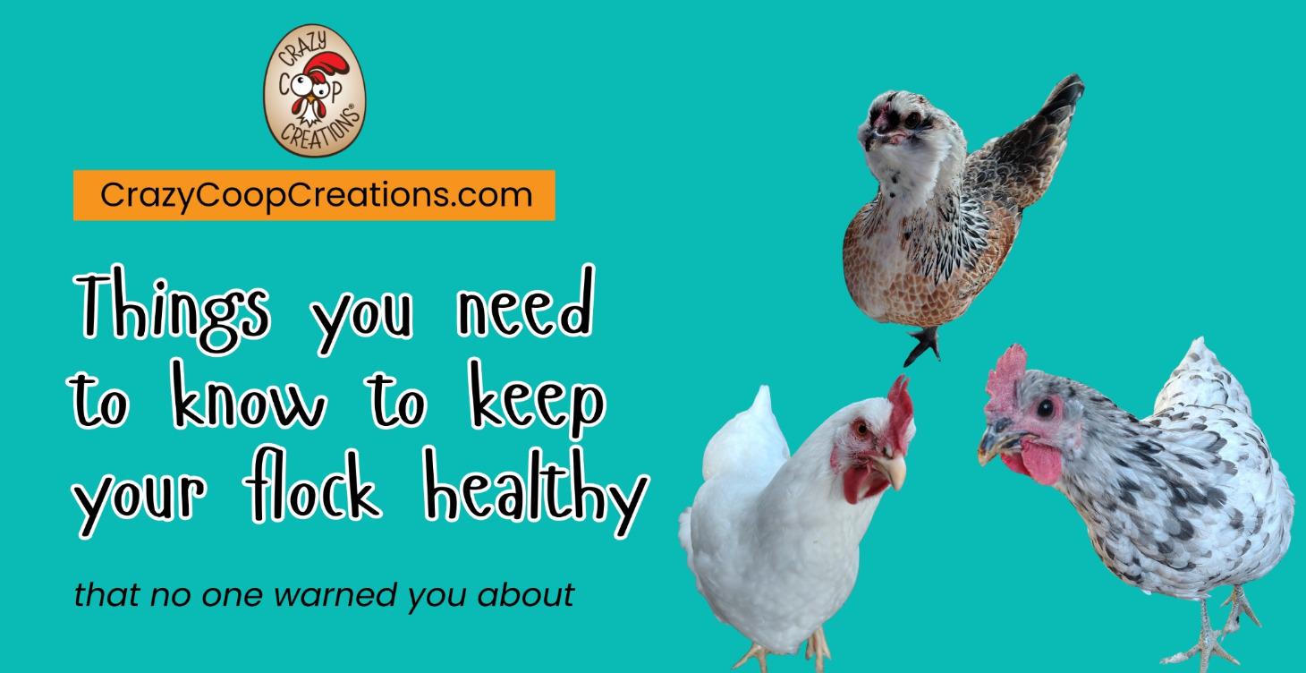 Chicken Care That You Probably Never Considered