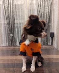 Shravan kumar Padakanti