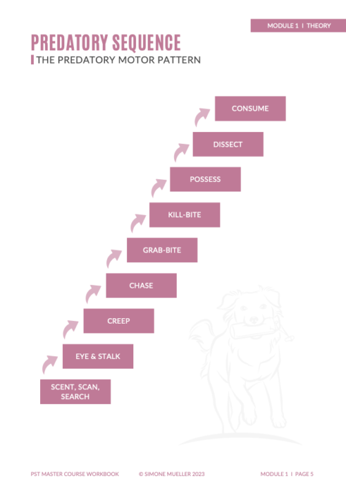 Breed Specific Considerations