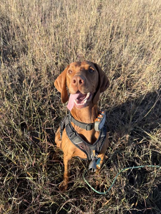 It’s the little things