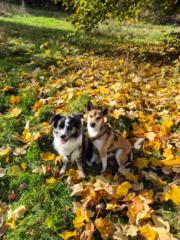 Daniela Geissbühler