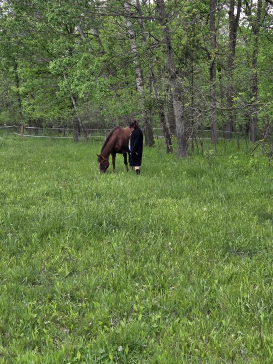 Feeling The Burnout?