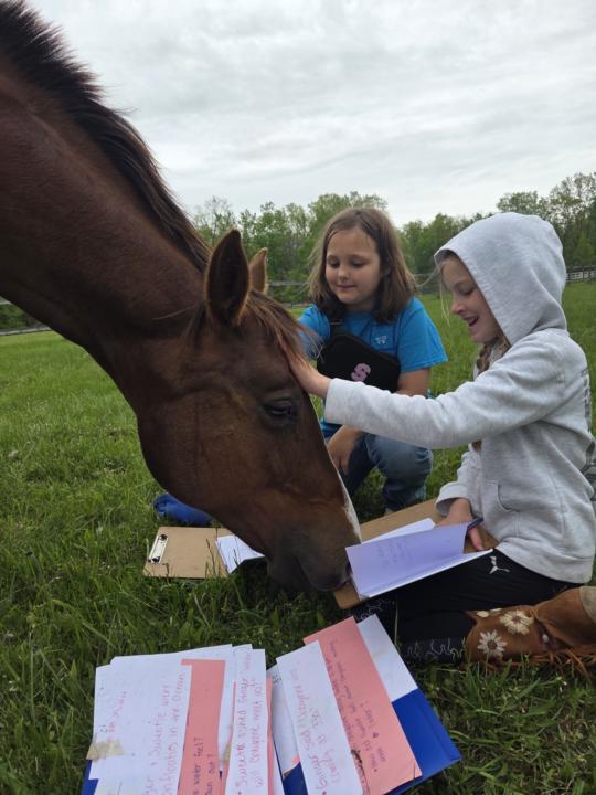 Let's See Your Social Butterflies!