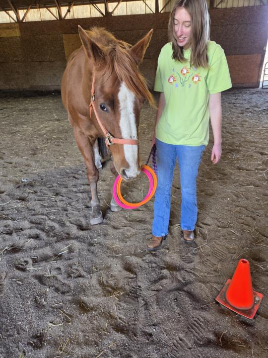 Horses Have Perfect Timing! 