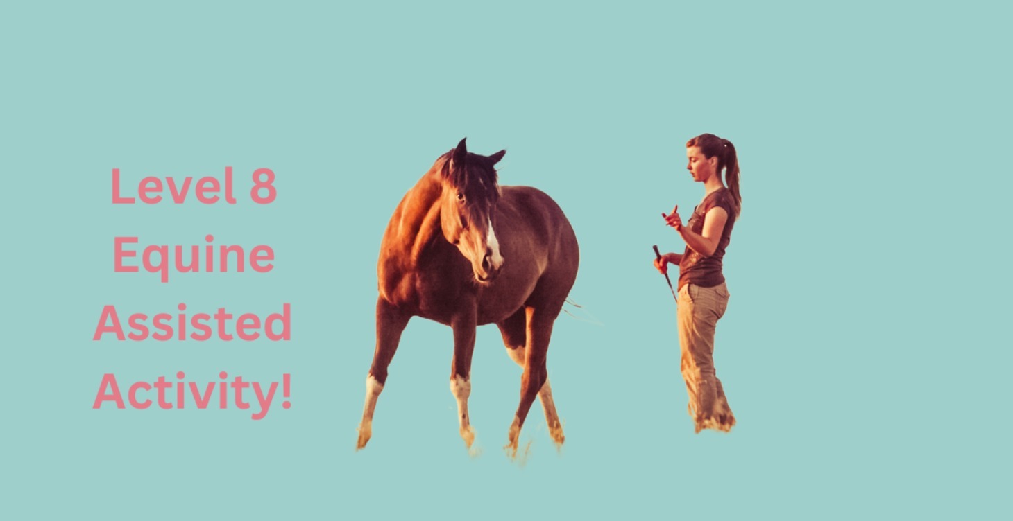 Level 8 Prize!  Equine Activity with Delena!