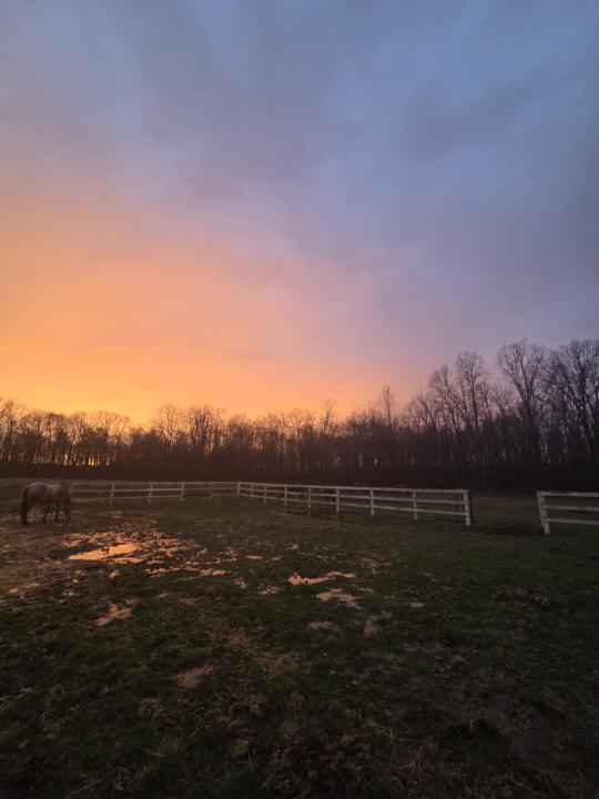 The Beauty After the Storm