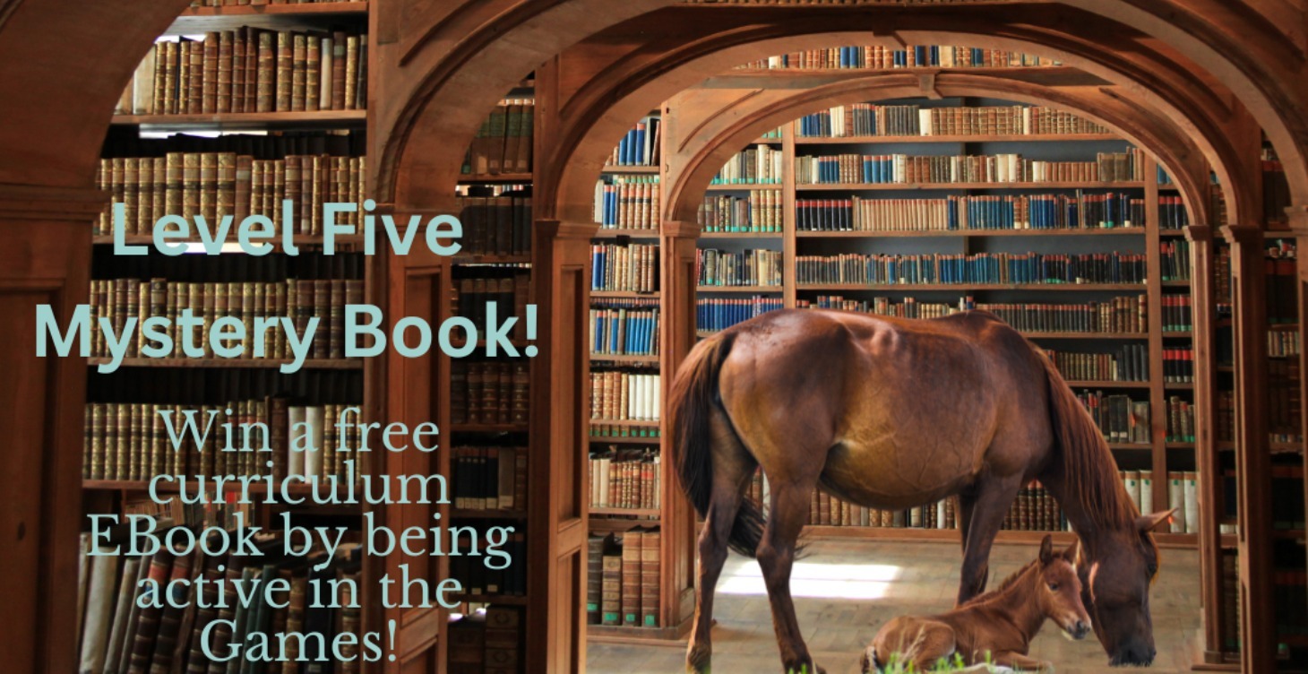 Level 5 Mystery Activity!