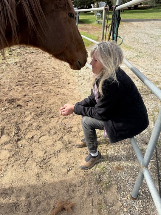 We got approval for our homeschool program!