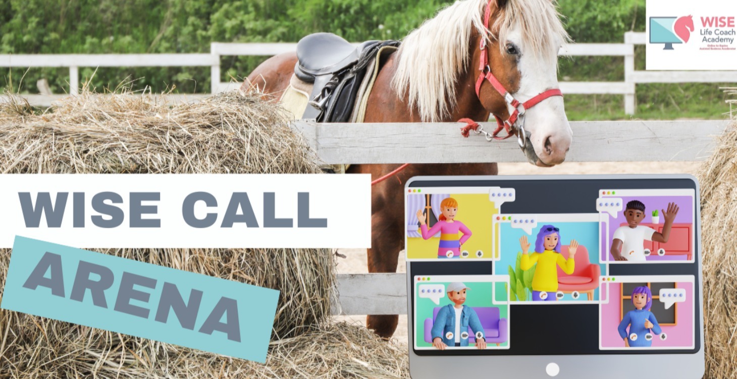 WISE Call Arena Replays!  And The Vault