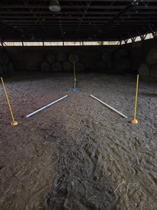 Yay! Fun Friday Activity 🎉