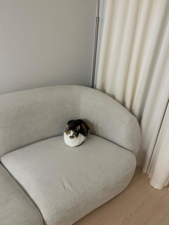 Anastasiia Ostrozhnaia