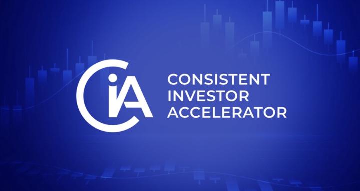The Consistent Investor