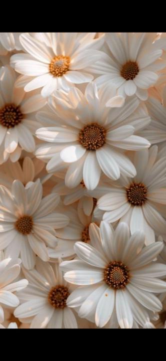 Anasthasia Retourné Ladouce