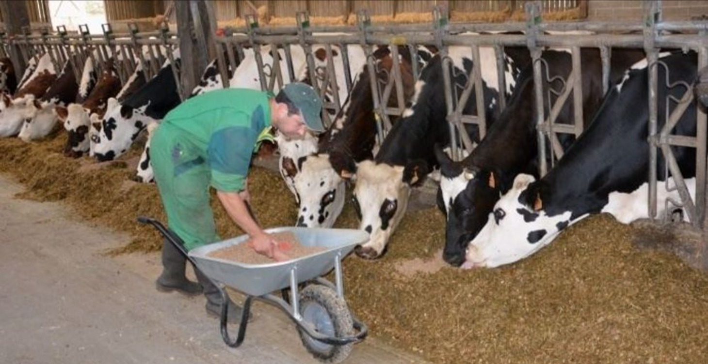 DÉMARREZ ICI (Nouveaux Membres)