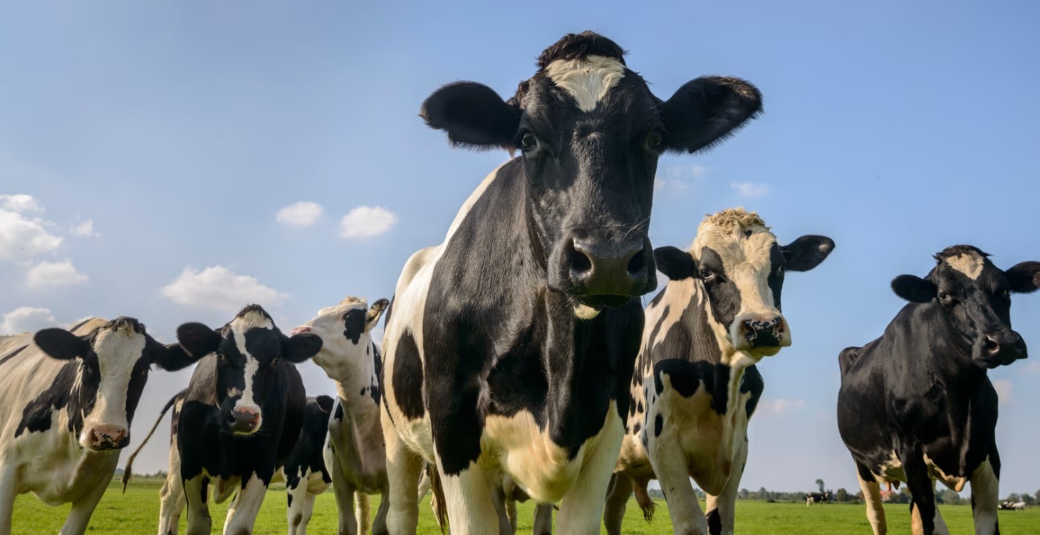 Le Positionnement Unique : Le secret des 1%