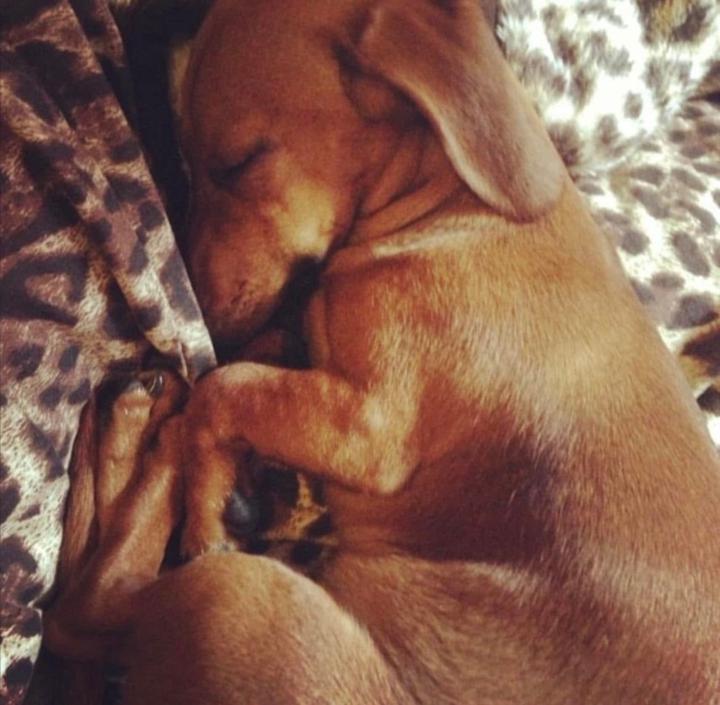 Business and Marketing