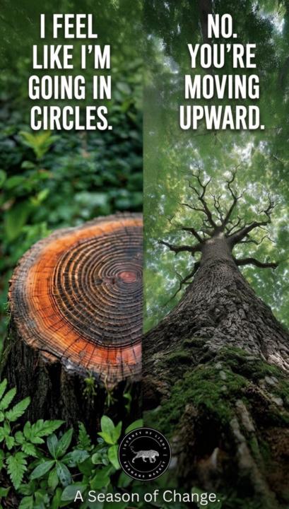 Perspective Counts!