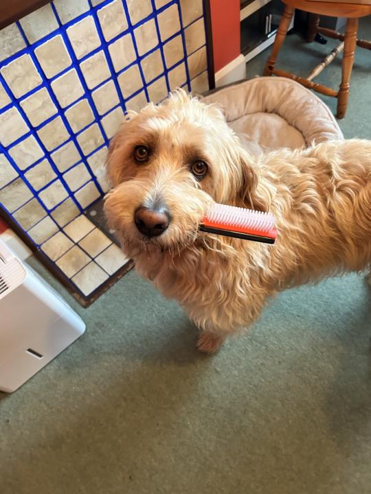 My day so far. Saturday 24th Jan 2026. 