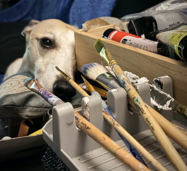 Even Reggie’s exhausted 😴 