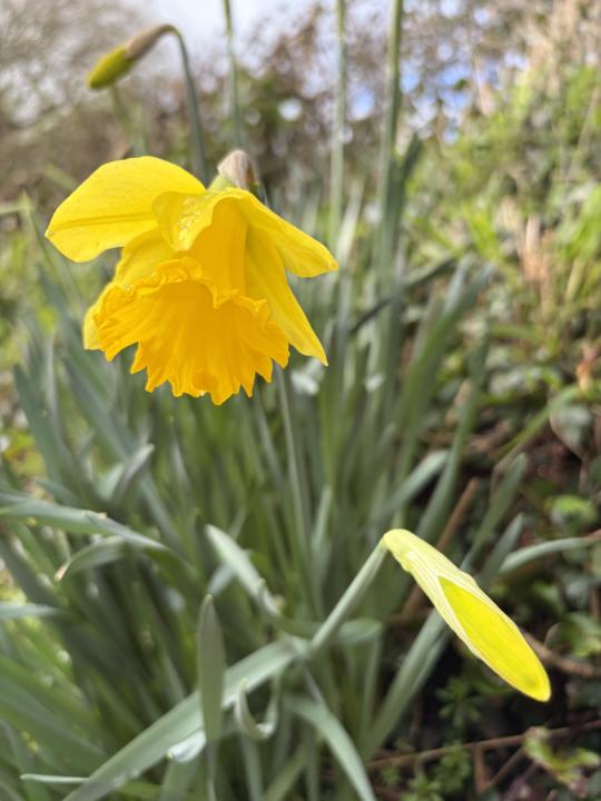 A soft Friday exhale 🥰😌☺️