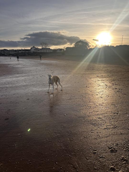 I am back online 🥳🥳🥳