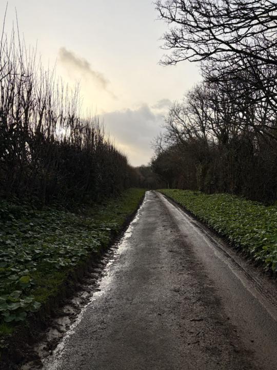 A Path Well Trodden 🌿